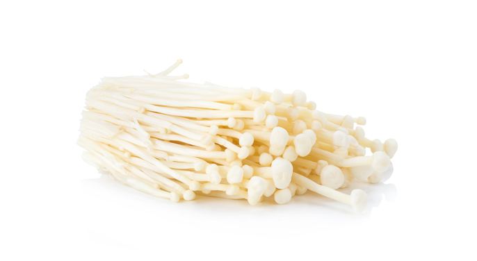 信邦如何高效的運輸食用菌 信邦如何高效的運輸食用菌