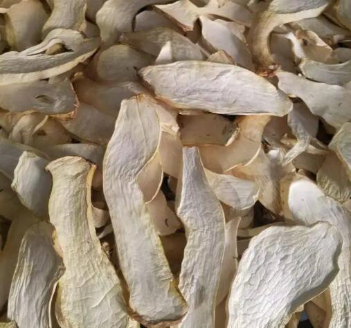 QQ截圖20220527153323.jpg QQ截圖20220527153323.jpg